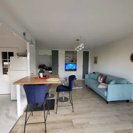 Henri Camille Real Estate -beautiful One Bedroom Swimming Pool And Parking Cannes