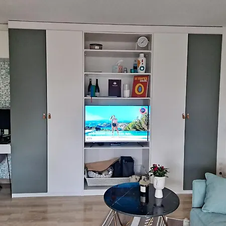 Henri Camille Real Estate -beautiful One Bedroom Swimming Pool And Parking Cannes
