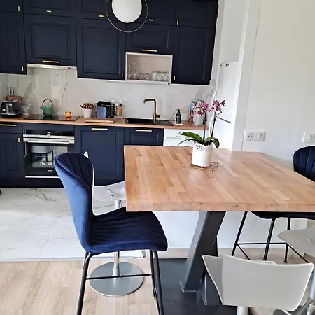 Henri Camille Re - Passy 2 -beautiful One Bedroom Swimming Pool And Parking Cannes